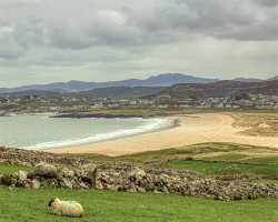 Be the first to hear what’s on at Arnold’s